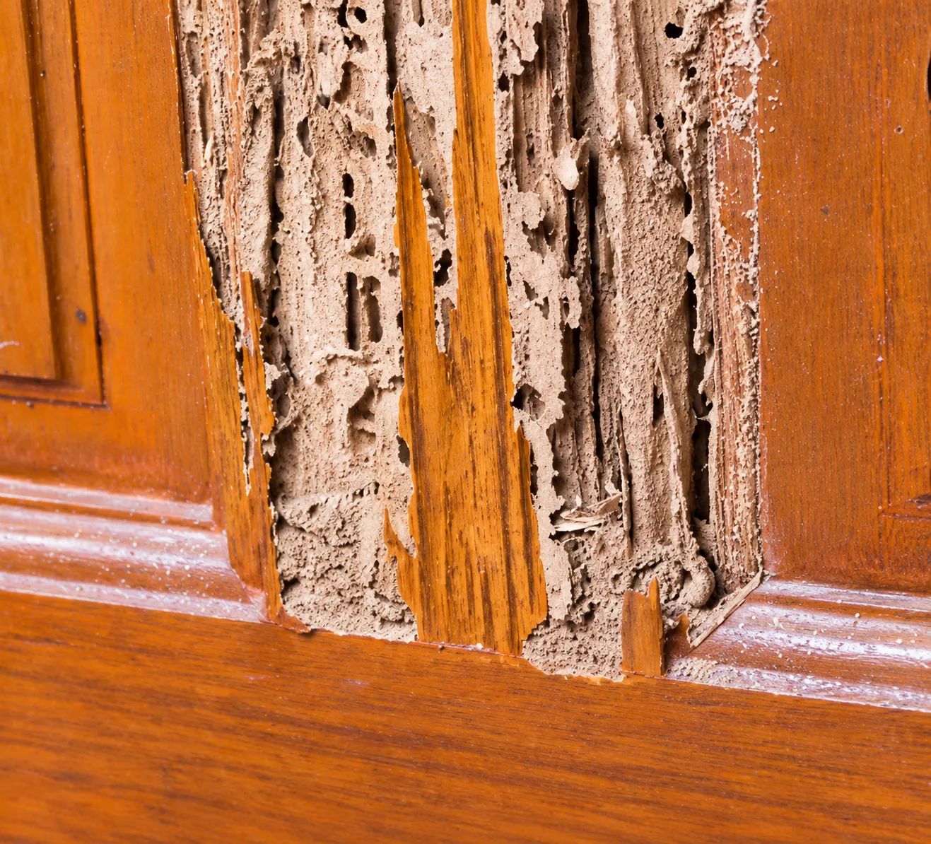 Kayu keropos